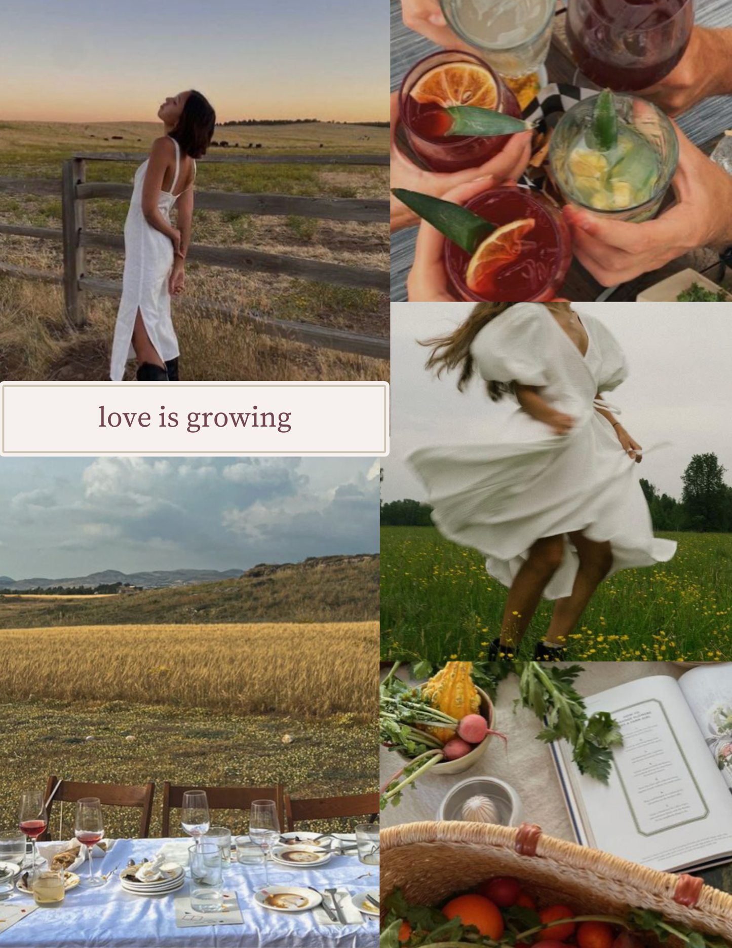 Bridal Shower Party Themes